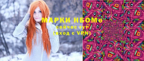 шишки Дмитров
