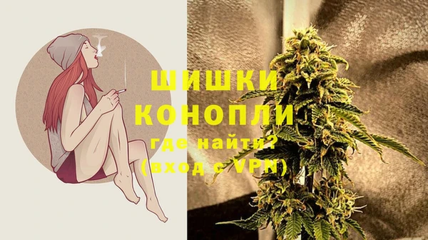 гидра Дмитриев