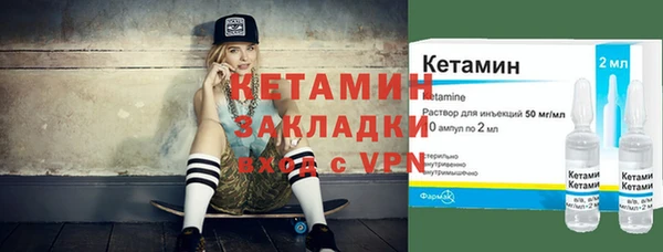 шишки Дмитров