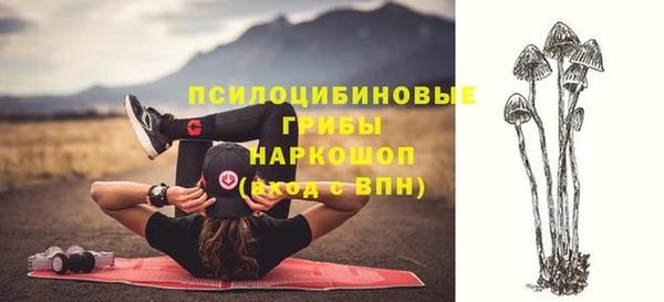 шишки Дмитров