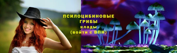 гидра Дмитриев