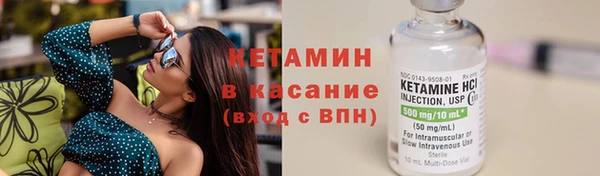 шишки Дмитров