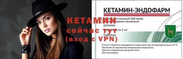 шишки Дмитров
