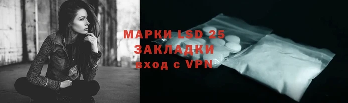 шишки Дмитров
