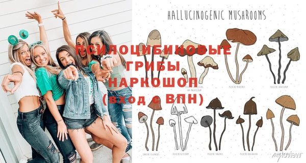 шишки Дмитров