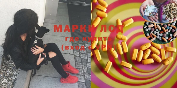 шишки Дмитров