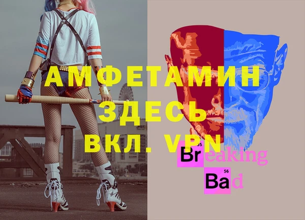 шишки Дмитров