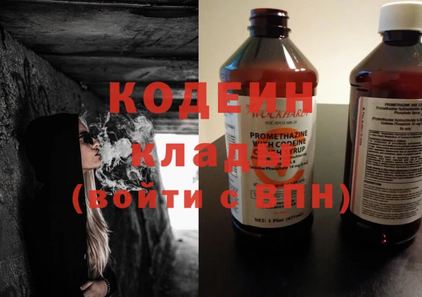 шишки Дмитров
