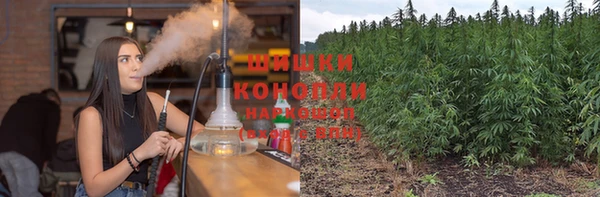 шишки Дмитров